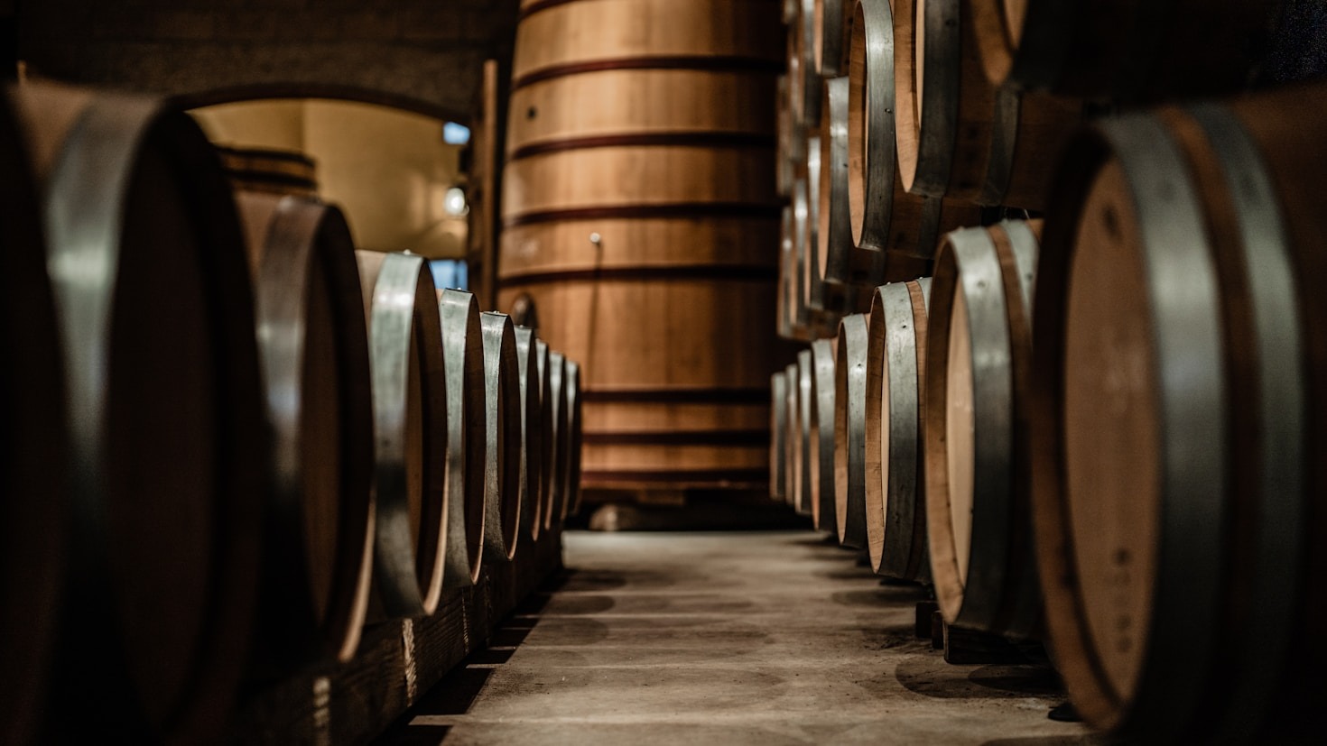 Guida alla scelta del gin perfetto